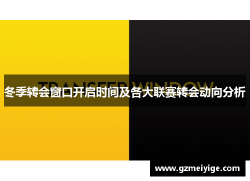 冬季转会窗口开启时间及各大联赛转会动向分析 冬季转会窗口开启时间及各大联赛转会动向分析