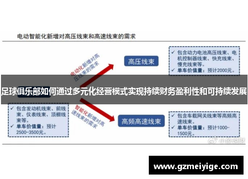 足球俱乐部如何通过多元化经营模式实现持续财务盈利性和可持续发展